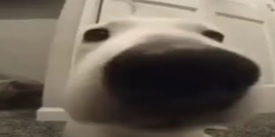 Imagem do grupo de WhatsApp místicos(a)