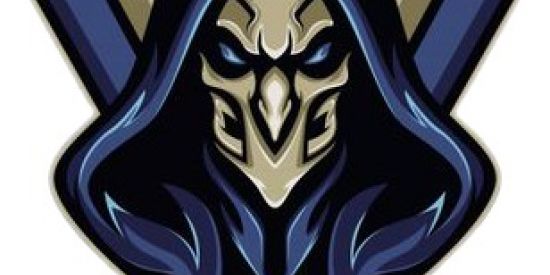 Imagem do grupo de WhatsApp Diário Ártion