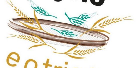 Imagem do grupo de WhatsApp Seleção p/ grupo oficial