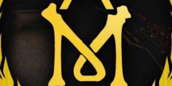 Imagem do grupo de WhatsApp Vida milionária