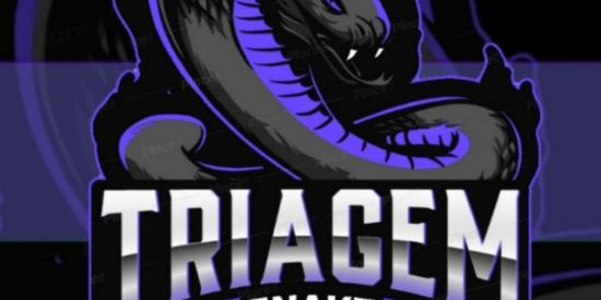 Imagem do grupo de WhatsApp 🐍|•Triagem•|🐍