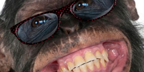 Imagem do grupo de WhatsApp Só Risada ! 😆👻