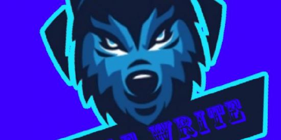 Imagem do grupo de WhatsApp WOLF WRITE