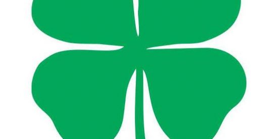 Imagem do grupo de WhatsApp (JV RIFAS)