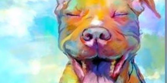 Imagem do grupo de WhatsApp Club American Pitbull RN