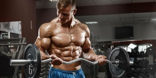 Imagem do grupo de WhatsApp Musculação e Aes