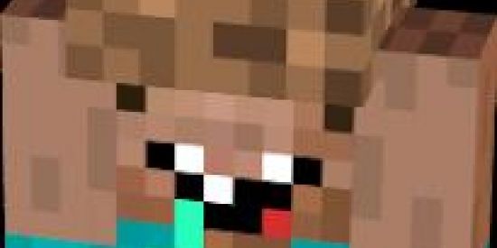 Imagem do grupo de WhatsApp Minecraft PE :)