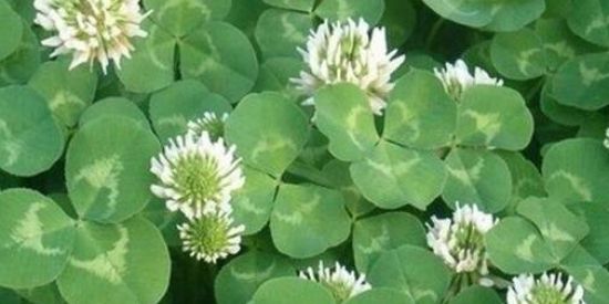 Imagem do grupo de WhatsApp EX PREMIAÇÕES💸✨