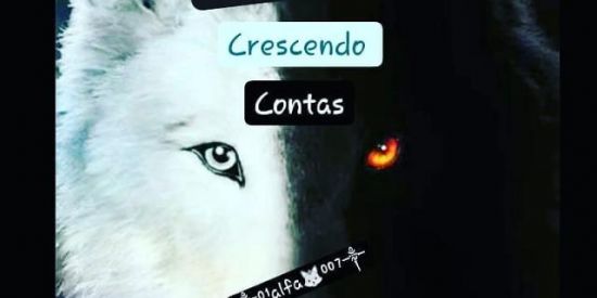 Imagem do grupo de WhatsApp ༒01alfa007༒