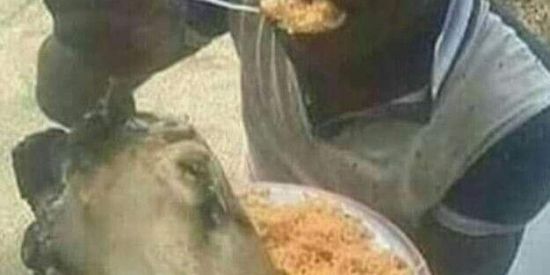 Imagem do grupo de WhatsApp 🇧🇷SHIT DA CARAMBOLA🇧🇷