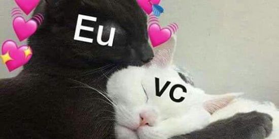 Imagem do grupo de WhatsApp Os XONADOS