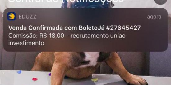 Imagem do grupo de WhatsApp Renda extra