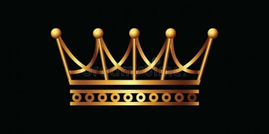 Imagem do grupo de WhatsApp 👑 REAL SEGUIDORES 👑