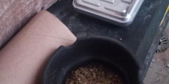 Imagem do grupo de WhatsApp LegalizeHerbs