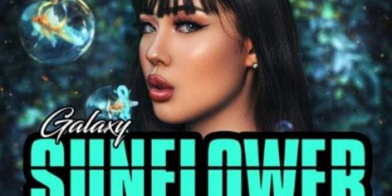 Imagem do grupo de WhatsApp REGRUTAMENTO•【SŇ】