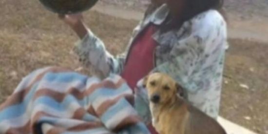 Imagem do grupo de WhatsApp Group Veganices. 🍃