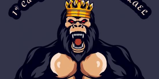 Imagem do grupo de WhatsApp CAMPEONATO FREEFIRE💪