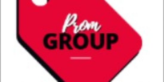 Imagem do grupo de WhatsApp PromGroup