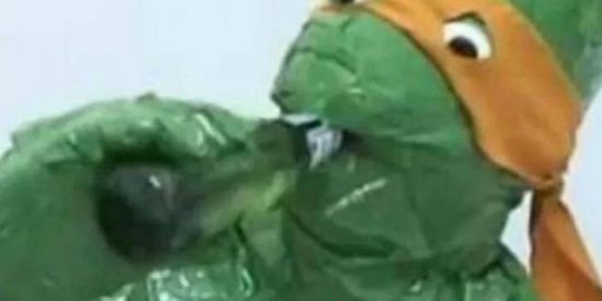 Imagem do grupo de WhatsApp Politicamente incorreto