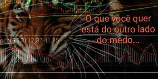 Imagem do grupo de WhatsApp Tigres no Mercado B3 WIN