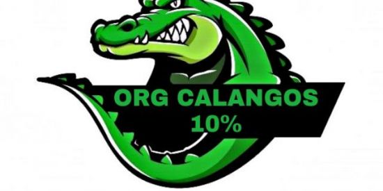 Imagem do grupo de WhatsApp 4X4 CALANGOS🦎✅