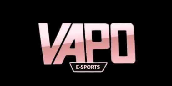 Imagem do grupo de WhatsApp DIÁRIO VAP 💖✨