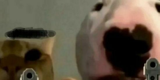 Imagem do grupo de WhatsApp MELHORES SHITPOST 😼