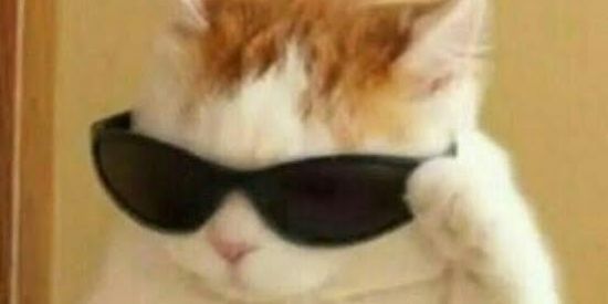 Imagem do grupo de WhatsApp sʜɪᴛᴘᴏsᴛ ᴅᴇ ϙᴜᴀʟɪᴅᴀᴅᴇ