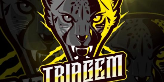 Imagem do grupo de WhatsApp 1TRIAGEM 👑