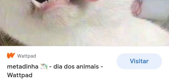 Imagem do grupo de WhatsApp GEUPO DO BATE PAPO