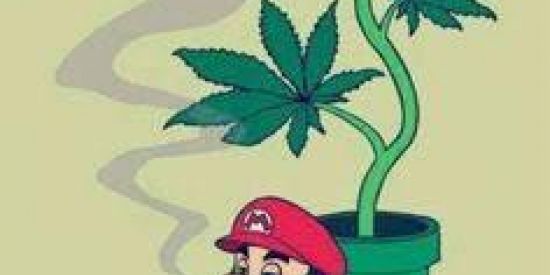 Imagem do grupo de WhatsApp Irmãos knk🦉