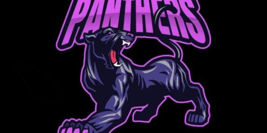 Imagem do grupo de WhatsApp RECRUTAMENTO PANTHERS🔥