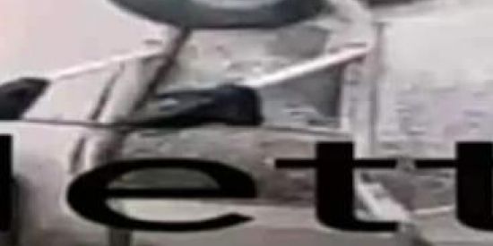 Imagem do grupo de WhatsApp Bonde do netto