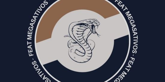 Imagem do grupo de WhatsApp Ganhe seguidores através do melhor bonde das redes sociais