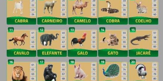 Imagem do grupo de WhatsApp ~~Bicho Na Rifa 🤑🤑🤩