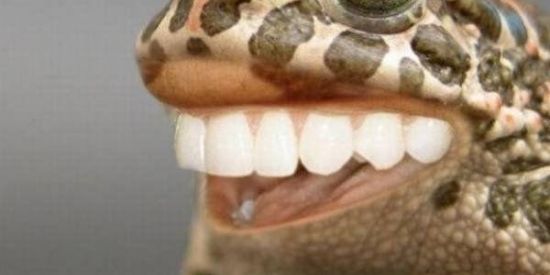 Imagem do grupo de WhatsApp MEMES 😾