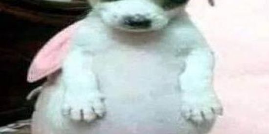 Imagem do grupo de WhatsApp ꧁༺IN͙ CI͙T͙Y͙ SH͙I͙T͙P͙O͙