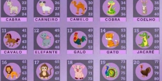 Imagem do grupo de WhatsApp FAZENDINHA