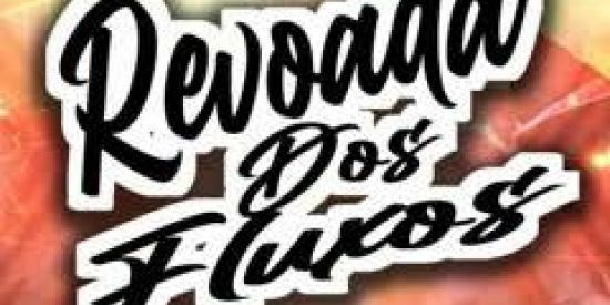 Imagem do grupo de WhatsApp REVOADA DE SFS🚀🚀