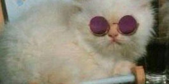 Imagem do grupo de WhatsApp Vagabundos ✨