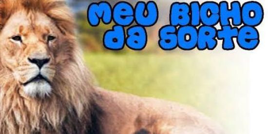 Imagem do grupo de WhatsApp Meu bicho da sorte🍀🍀