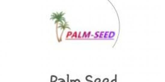 Imagem do grupo de WhatsApp Plataforma palm-seed💵💰. Grana fácil