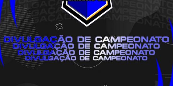 Imagem do grupo de WhatsApp Divulgação De Campeonato☝️