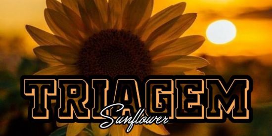 Imagem do grupo de WhatsApp 🌻▫️TRIAGEM SUNFLOWER▫️🌻