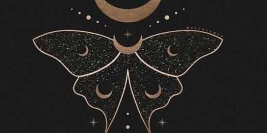 Imagem do grupo de WhatsApp 🍁Buxaria🍁