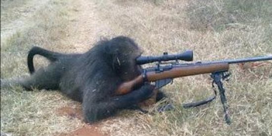 Imagem do grupo de WhatsApp Grupo original na bio