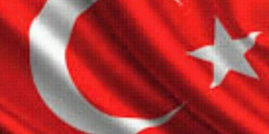 Imagem do grupo de WhatsApp TROPA DA TURQUIA🇹🇷🇹🇷🍃