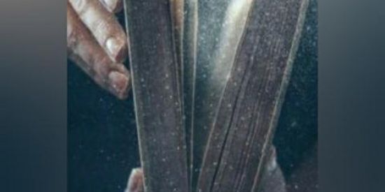 Imagem do grupo de WhatsApp DEVOCIONAL FIEL ✝️ JESUS CRISTO É O SENHOR!