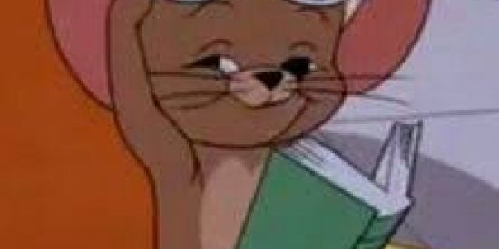 Imagem do grupo de WhatsApp 💥🙉SÓ OS LOUCOS💥🙉