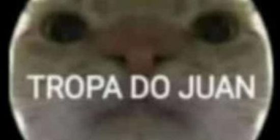 Imagem do grupo de WhatsApp 😾tropa do juan😾